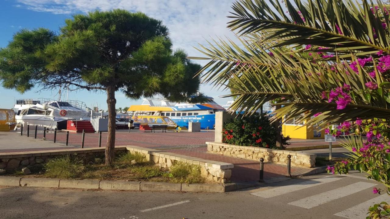 Apartamento Pepi Adults Only Santa Pola Exteriör bild