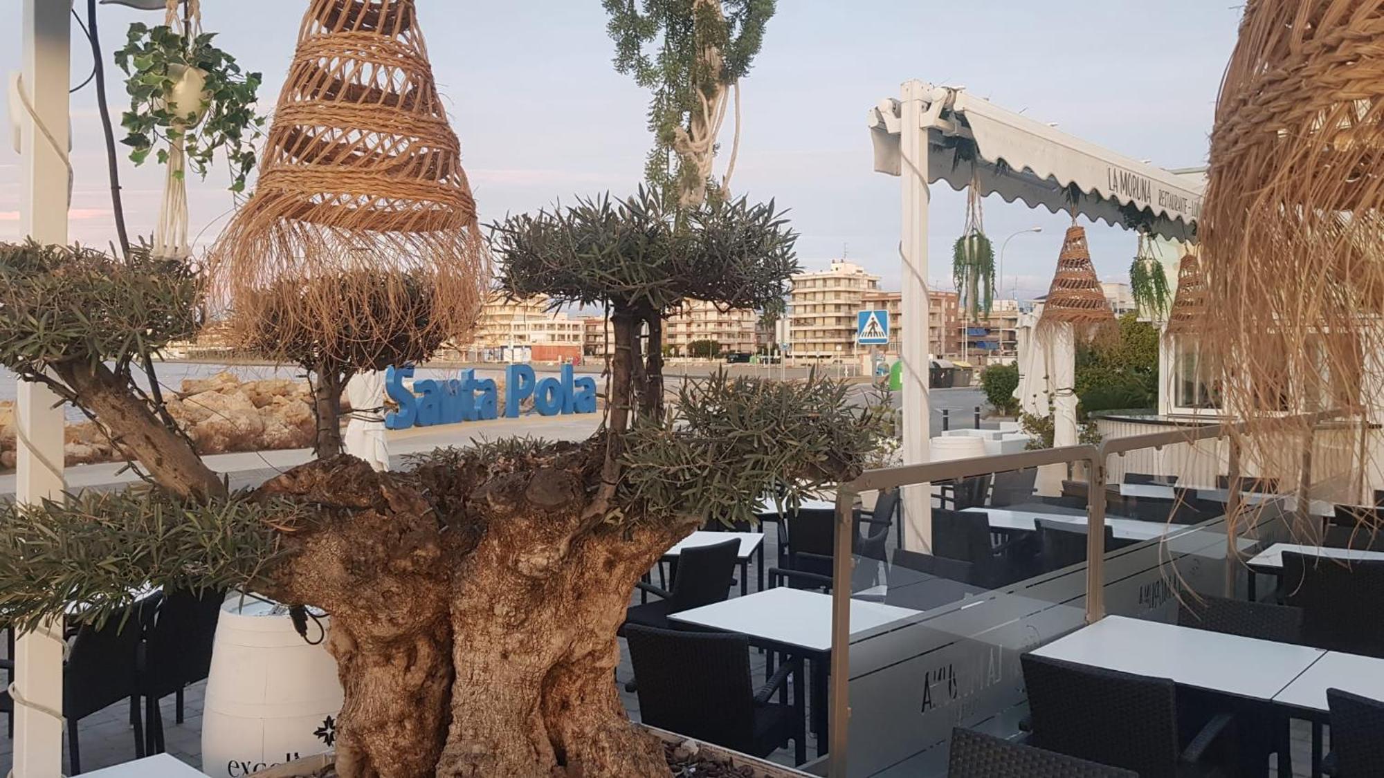 Apartamento Pepi Adults Only Santa Pola Exteriör bild